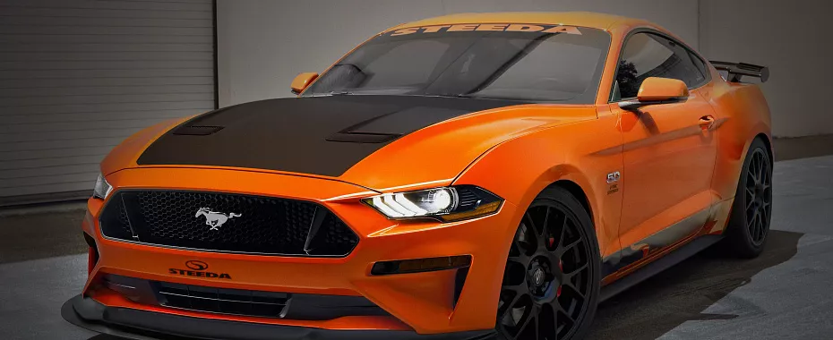 3d-systems-steeda-case