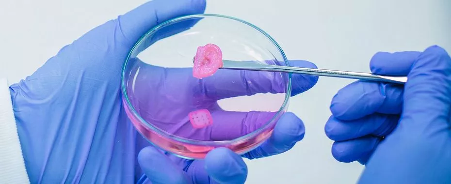 3d-bioprinting