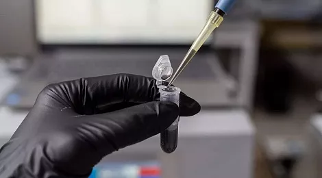 news-digest-winter-2024