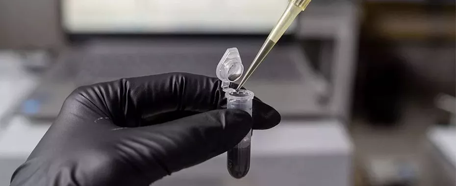 news-digest-winter-2024