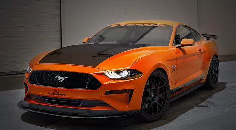 3d-systems-steeda-case